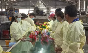 Xuất khẩu rau quả Việt Nam đặt mục tiêu 8 tỷ USD