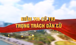 Niềm tin cử tri, trọng trách dân cử