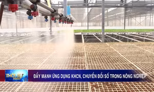 Đẩy mạnh ứng dụng KHCN, chuyển đổi số trong nông nghiệp