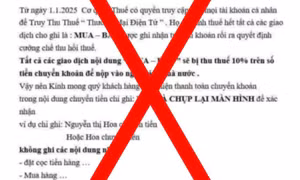 Sự thật chuyện giao dịch thương mại điện tử bị thu thuế 10%