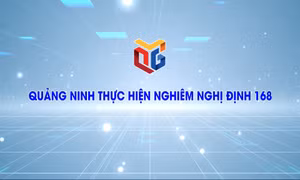 Quảng Ninh thực hiện nghiêm Nghị định 168