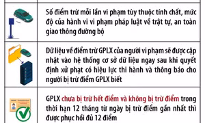 Từ 1/1/2025: Giấy phép lái xe có 12 điểm, hết điểm sẽ không được lái xe 6 tháng