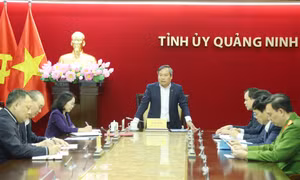 Thường trực Ban Chỉ đạo Phòng, chống tham nhũng, lãng phí, tiêu cực tỉnh họp thường kỳ tháng 1/2025