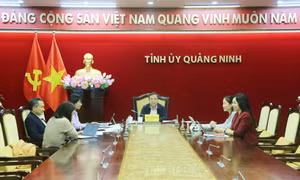 Phát động sâu rộng cuộc thi xây dựng Bộ nhận diện thương hiệu Quảng Ninh
