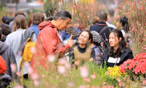 Hạn chế tiêu thụ đồ uống có đường để đón Tết vui khỏe
