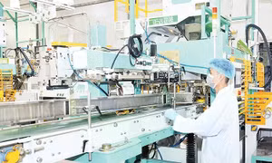 Triển vọng tăng trưởng xuất khẩu nông sản