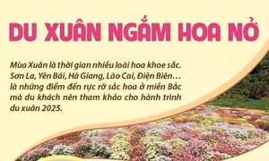 Những điểm đến hấp dẫn cho hành trình du xuân ngắm hoa nở