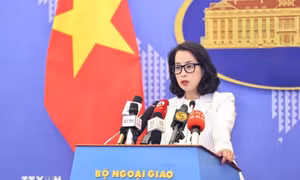 Việt Nam hoan nghênh phán quyết về bồi thường nạn nhân thảm sát Quảng Nam