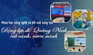 Khoa học công nghệ và đổi mới sáng tạo - Động lực để Quảng Ninh cất cánh, vươn mình