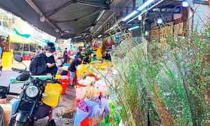Hoa Trung Quốc 'lấn lướt' thị trường Tết