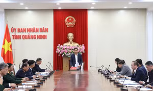 Ban chỉ đạo 389 tỉnh triển khai nhiệm vụ năm 2025