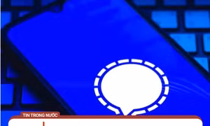 Kẻ lừa đảo đang chuyển từ Telegram sang dùng Signal làm nền tảng liên lạc chính