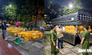 Bắt quả tang hơn 1 tấn tôm bơm tạp chất đang đi tiêu thụ