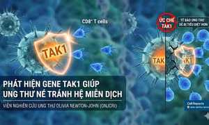Phát hiện gene giúp tế bào ung thư thoát khỏi sự tấn công của hệ miễn dịch