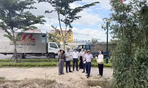 Phường Quảng Yên: Tăng cường chấn chỉnh trật tự đô thị dịp cuối năm