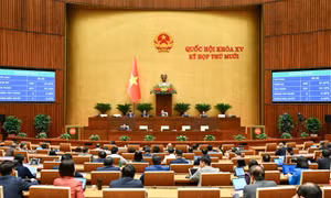 Thông cáo báo chí số 39, Kỳ họp thứ 10, Quốc hội khóa XV
