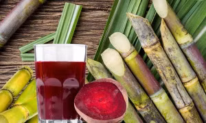 Thức uống từ nguyên liệu quen thuộc giúp bổ sung sắt và tốt cho máu