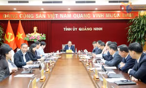 Ban Thường vụ Tỉnh ủy nghe và cho ý kiến nhiều nội dung quan trọng