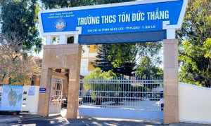 Nữ sinh lớp 7 bị bạn học đánh hội đồng ở Gia Lai