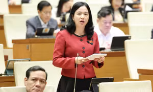 Cần xác định lại tỷ lệ vốn đối ứng cho phù hợp với các địa phương nghèo
