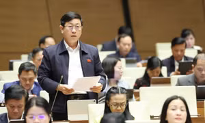 Đại biểu Quốc hội kiến kế phòng, chống tội phạm công nghệ cao