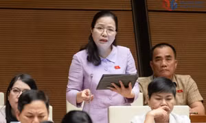 Phát huy bản lĩnh, trí tuệ và trách nhiệm đại biểu dân cử