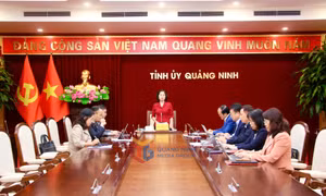 Ban Thường vụ Đảng ủy các cơ quan Đảng tỉnh kiểm điểm, đánh giá, xếp loại chất lượng năm 2025
