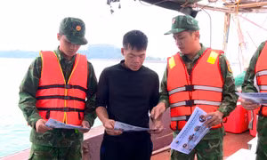 Quảng Ninh siết chặt quản lý tàu cá, quyết liệt chống khai thác IUU