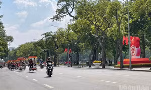 Thời tiết ngày 11/12: Bắc Bộ sáng và đêm trời lạnh, Trung Bộ có mưa rào rải rác