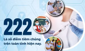 222 - là số điểm tiêm chủng trên toàn tỉnh hiện nay