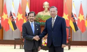 Tuyên bố chung Việt Nam-Brunei Darussalam