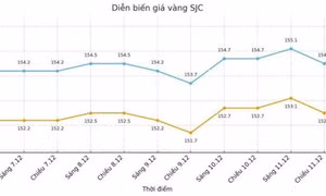 Cảnh báo rủi ro khi giá vàng tăng cao