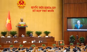 Thông cáo báo chí số 38, Kỳ họp thứ 10, Quốc hội Khóa XV