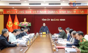 Ban Chỉ đạo phòng, chống tham nhũng, lãng phí, tiêu cực tỉnh họp phiên thứ 15