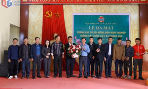 Xã Quảng Đức ra mắt Tổ hội nông dân nghề nghiệp trồng cây dược liệu