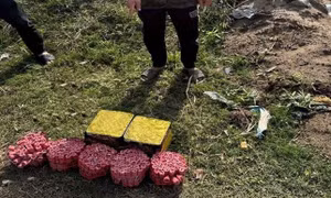 Mang pháo nổ về nhà chờ Tết, đối tượng bị phát hiện tại Hưng Yên
