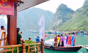 Hồi sinh "bảo tàng sống" trong lòng vịnh
