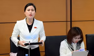 Bảo đảm nguồn lực, nâng cao hiệu quả triển khai Chương trình mục tiêu quốc gia