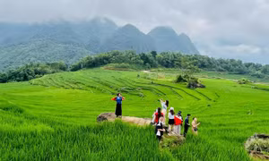 Hoạt động lữ hành phát huy vai trò tiên phong, làm động lực thúc đẩy du lịch
