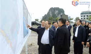 Xây dựng cơ chế để khai thác tối đa tiềm năng phát triển đặc khu Vân Đồn