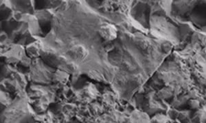 'Đá sống' tại Nam Phi hấp thụ carbon siêu tốc