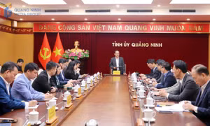 Tập trung phát triển khoa học, công nghệ, đổi mới sáng tạo và bảo vệ môi trường