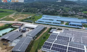 Ánh Dương Solar mang nguồn năng lượng xanh đến Quảng Ninh