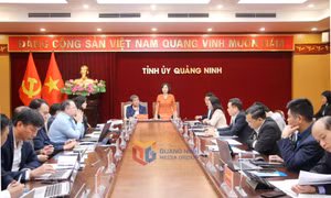 Ủy ban Kiểm tra Trung ương khảo sát triển khai công tác kiểm tra, giám sát của Đảng tại Quảng Ninh