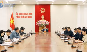 UBND tỉnh họp triển khai các nhiệm vụ thuộc lĩnh vực tài chính, ngân sách, đầu tư và liên kết vùng