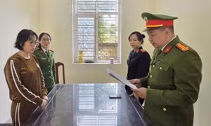 Khởi tố vụ án mua bán hóa đơn lên đến hàng chục tỉ đồng tại Ninh Bình