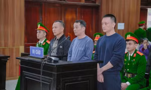 Trùm giang hồ Vi “Ngộ” lĩnh án 3 năm tù về tội đưa hối lộ
