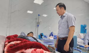 Quảng Ngãi: 203 ca bị ngộ độc thực phẩm là do ăn bánh mì