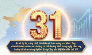31 - là số dự án, công trình tiêu biểu sẽ được đồng loạt khởi công, khánh thành tại Quảng Ninh trong ngày 19/12