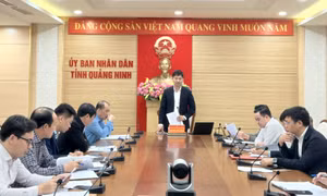 Tập trung phát triển nuôi biển bền vững